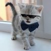 Кирилл