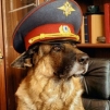 Николай Мухтаров